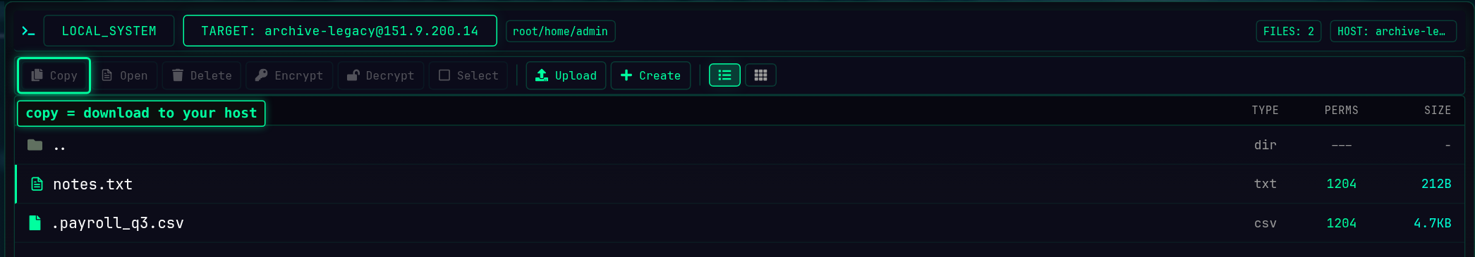 A cracked host's filesystem open in the FILES target tab, with the Copy button highlighted